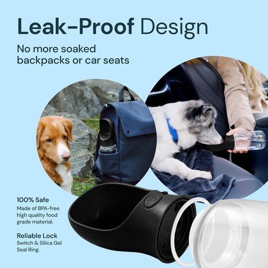 Portable 2-in-1 Water and Food Bowl for Pets