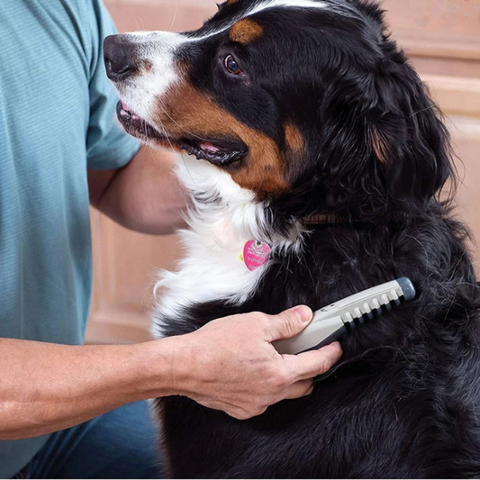 Tangle-Free Pet Grooming Brush – Gentle & Effective Detangler for Cats & Dogs
