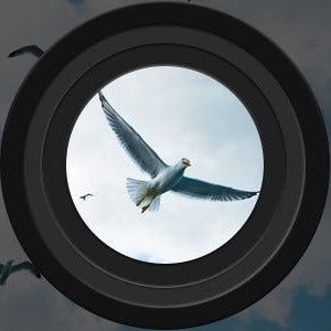 Niropi | Long Range Night Vision Binoculars