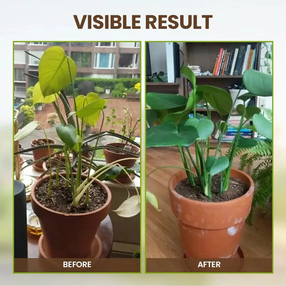 Niropi | Organic Soil Activator for Robust Plant Growth