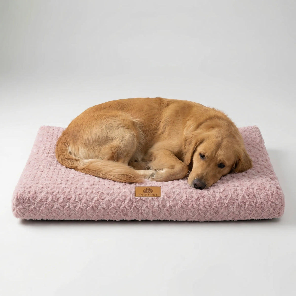 Niropi | Pawventure Flat Orthopedic Foam Dog Mat