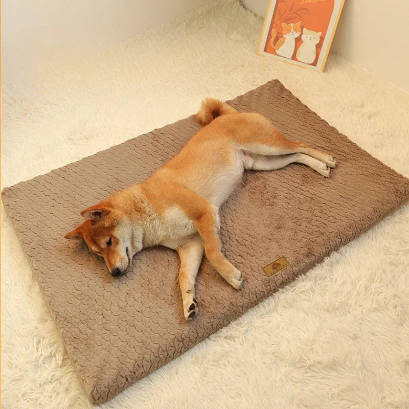 Niropi | Pawventure Flat Orthopedic Foam Dog Mat