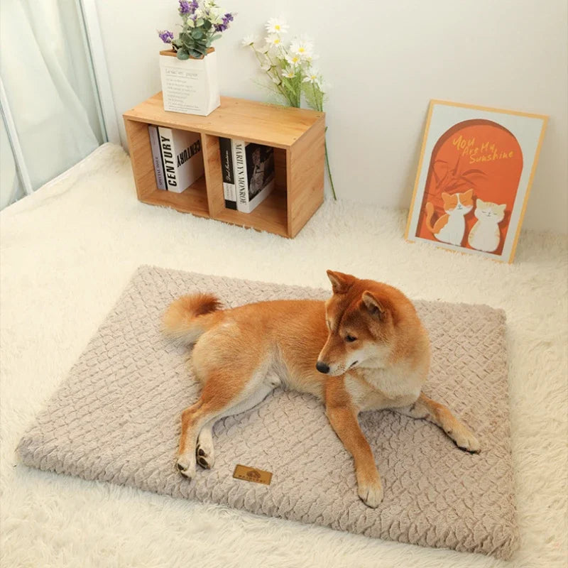 Niropi | Pawventure Flat Orthopedic Foam Dog Mat
