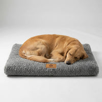Niropi | Pawventure Flat Orthopedic Foam Dog Mat