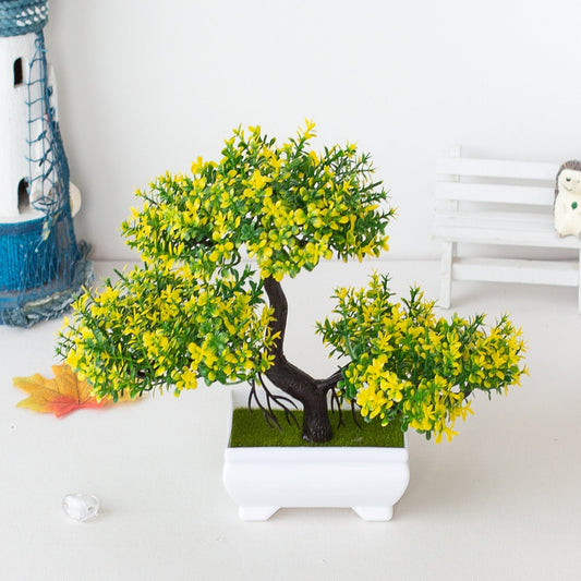 Niropi | Plant Bonsai