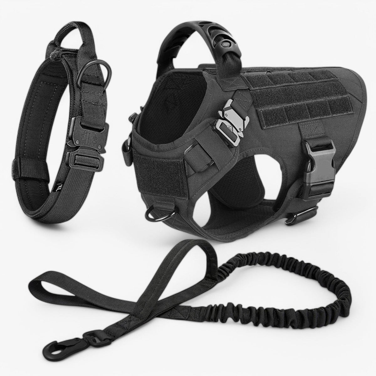 Dog Leash – Comfort and Safety for Training