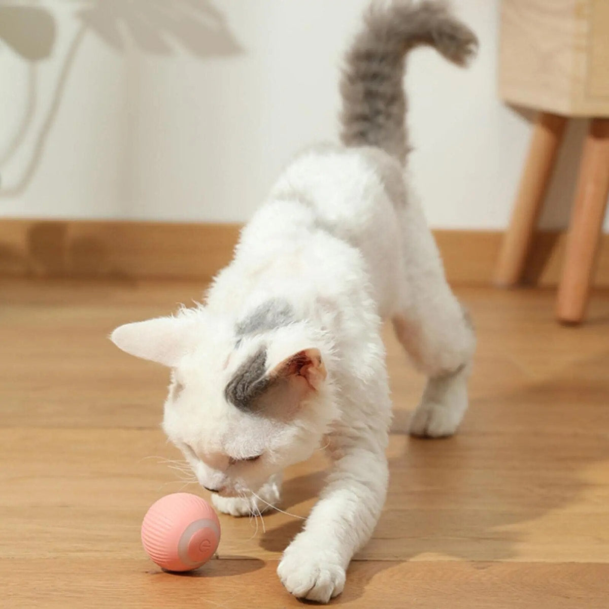 DogCatFri™ HuntingToy - 2 in 1 Simulated Interactive Hunting Toy