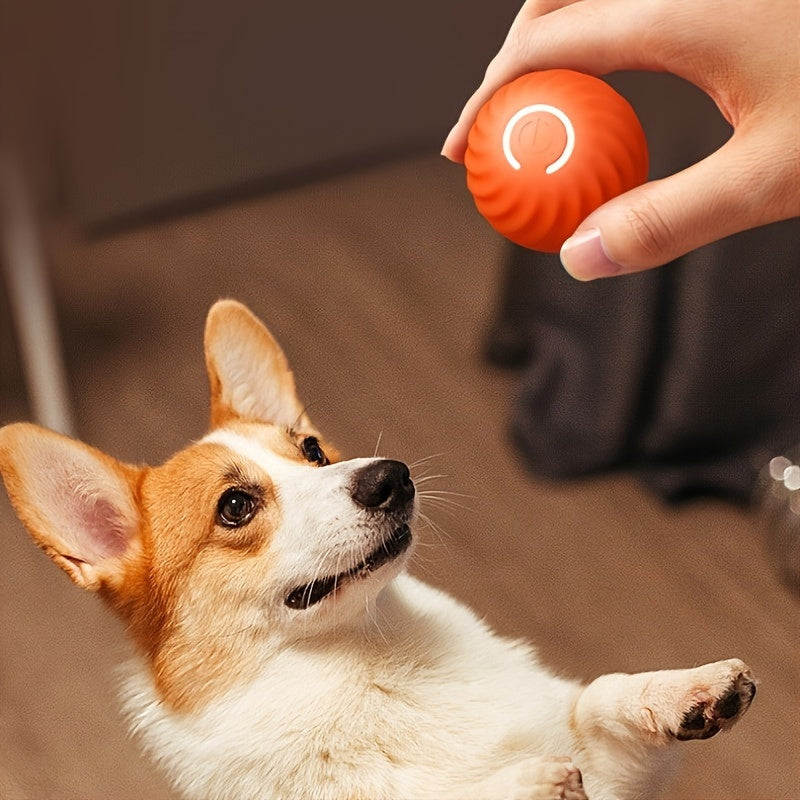DogCatFri™ HuntingToy - 2 in 1 Simulated Interactive Hunting Toy