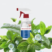 Effective Mold Removal Foam - Removes Mold Stains | Fast Acting