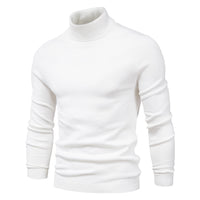 Men's Fitted Turtleneck Sweater