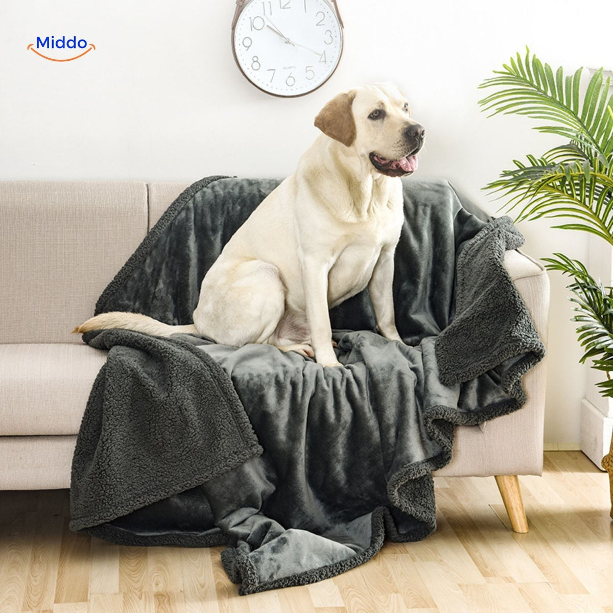 PawGuard™ Blanket | Waterproof, Soft Cotton Velvet, Discreet Protection!