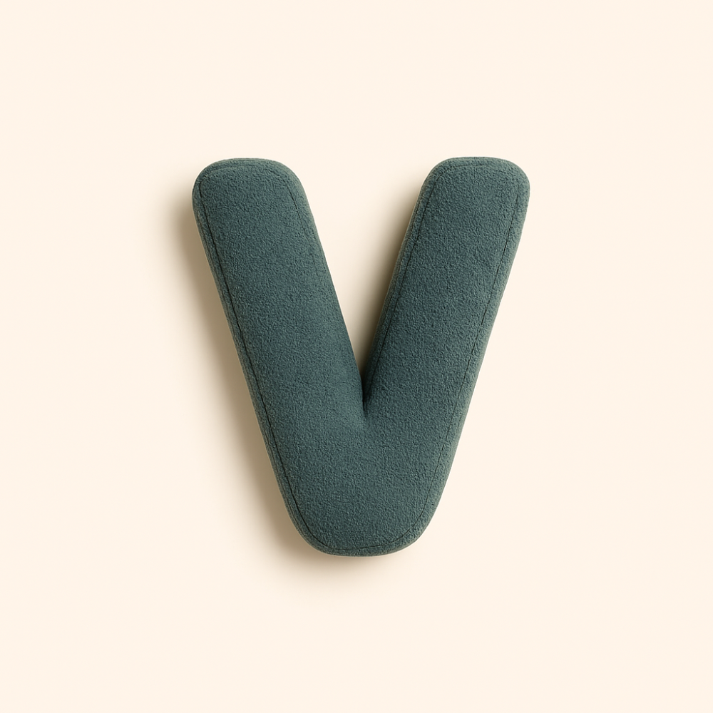Personalized Letter Throw Pillow for Sofa