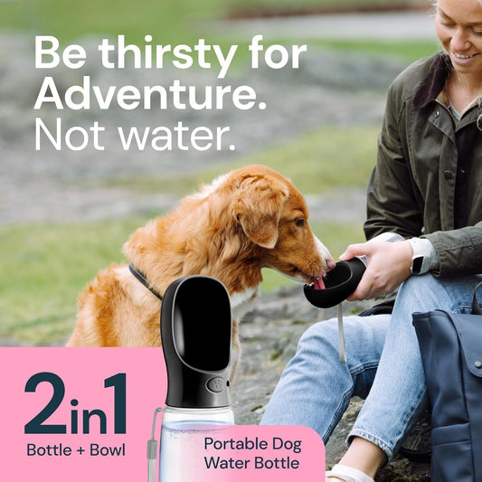 Portable 2-in-1 Water and Food Bowl for Pets