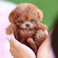Realistic Plush Toy Puppy - Interactive Plush Friend