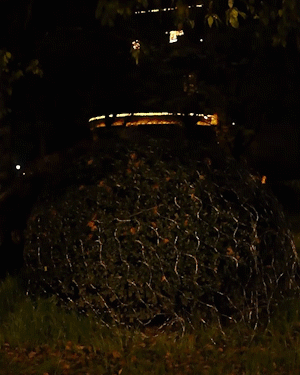 Solar Net Lights