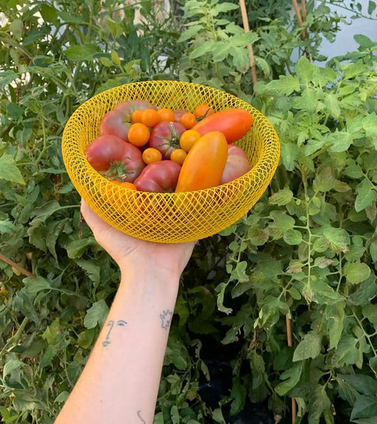 Steel Mesh Fruit Basket with Ventilation for Fresh Storage