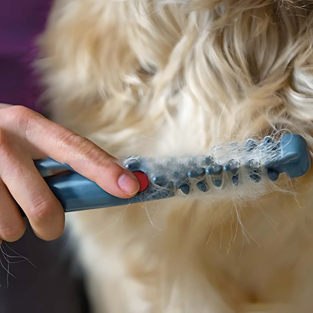 Tangle-Free Pet Grooming Brush – Gentle & Effective Detangler for Cats & Dogs